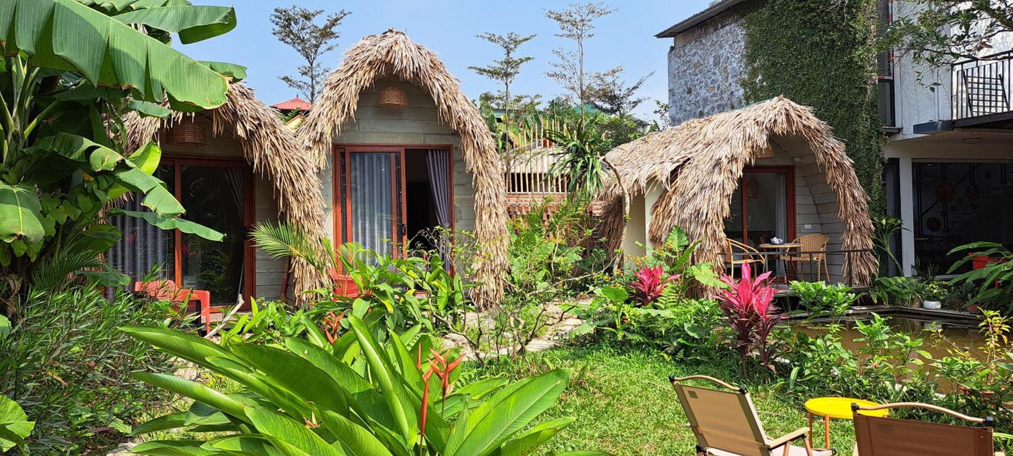 Homestay Amy House Ninh Binh