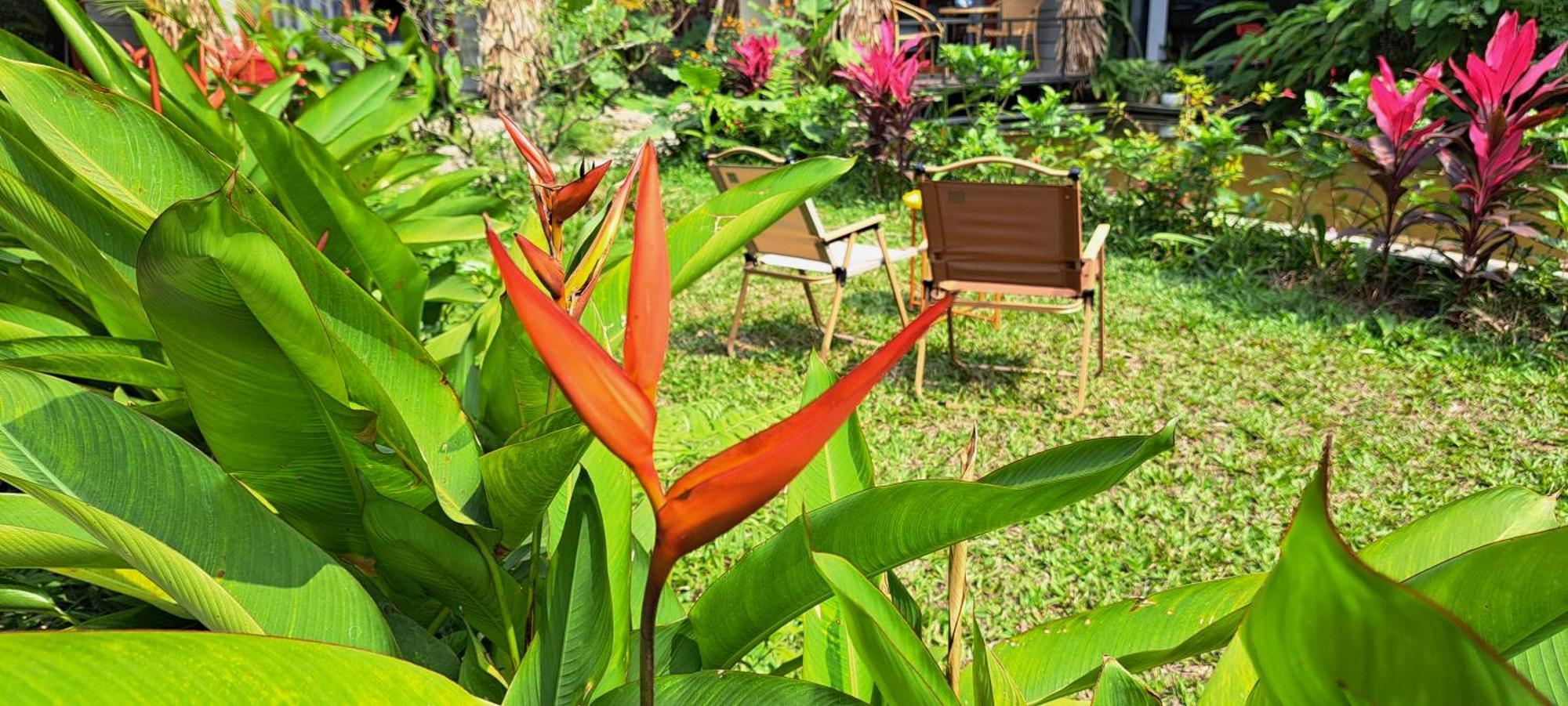 Amy House Homestay