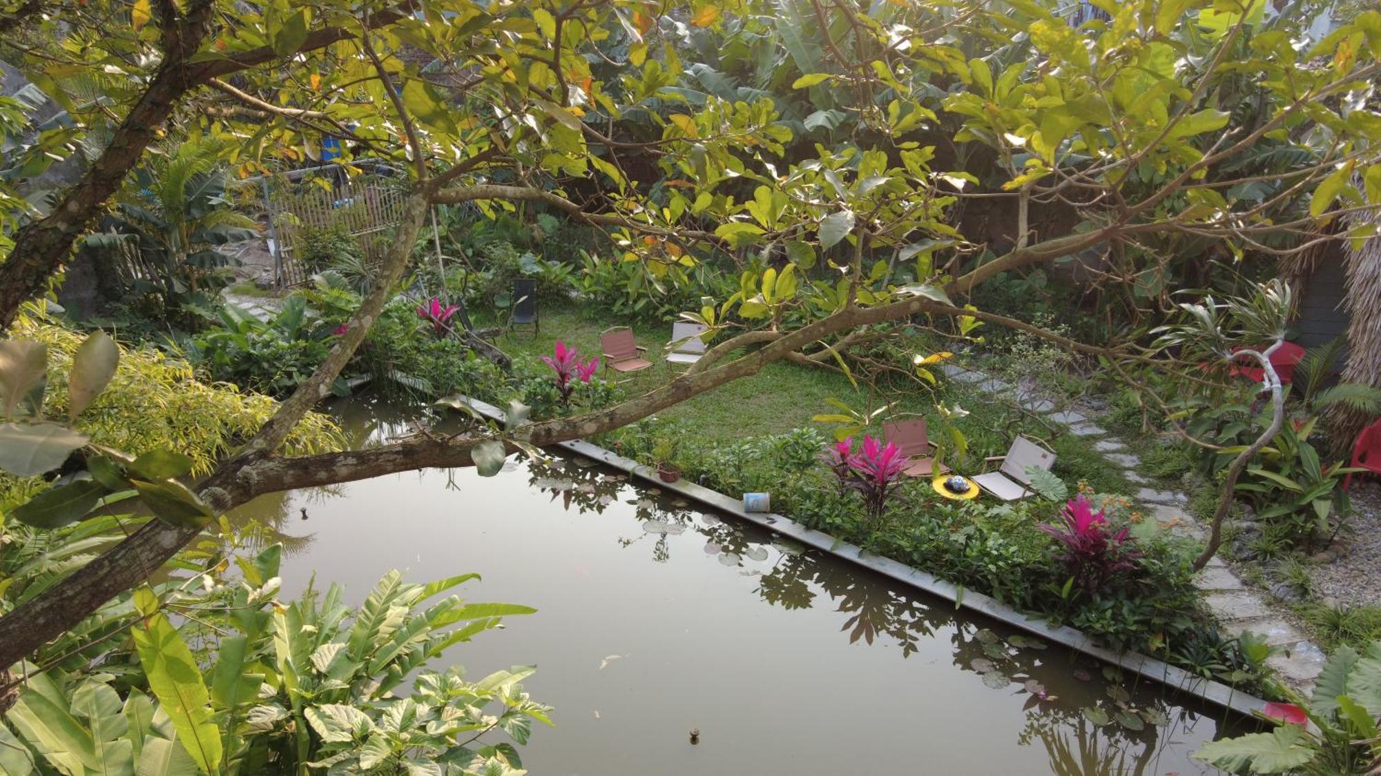 Amy House Homestay *